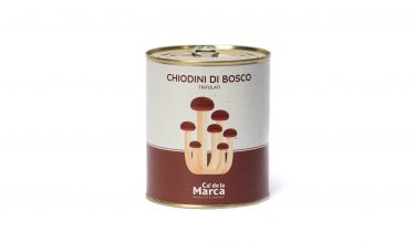 Chiodini di bosco trifolati latta 850 - 01